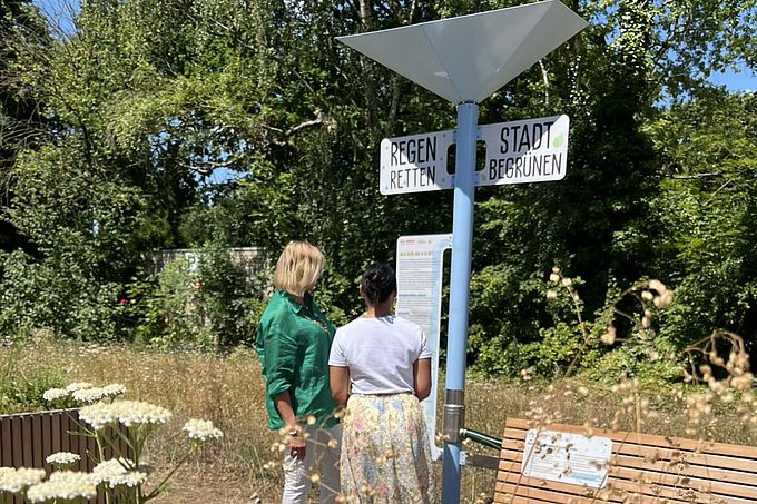 Zwei Personen lesen ein Informationsschild in einem begrünten Stadtgebiet mit Wildblumen und Schildern auf Deutsch.
