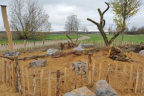 Ein umzäunter Bereich mit Sand, Steinen und Baumstümpfen in einem Park mit grasbewachsenen Wegen und Bäumen im Hintergrund.