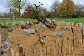 Ein umzäunter Bereich mit Sand, Steinen und Baumstümpfen in einem Park mit Bäumen.