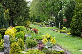 Ein Friedhof mit grünen Bäumen und gepflegten Wegen.